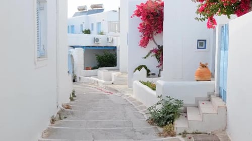 Promenade dans la rue Naousa sur l'île de Paros, Grèce