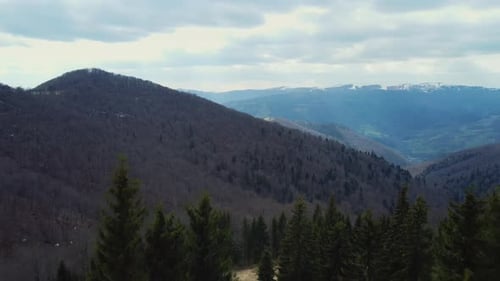 Stunning View to Mountain Covered with Pine Trees