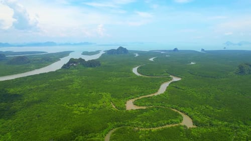 Aerial View of Green Tropical Forest and Rivers