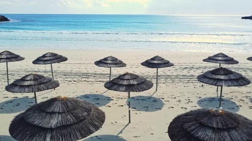 Empty Sandy Beach with Umbrellas Near the Sea Sunny Weather