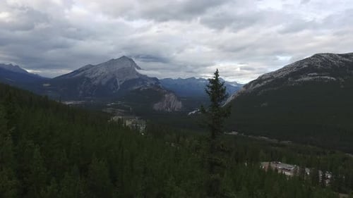 Coniferous forest and mountains