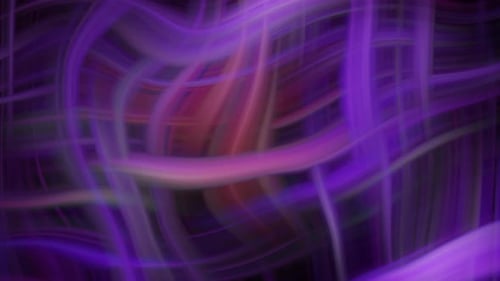 Abstract Fluid Purple Lines Flowing Animation