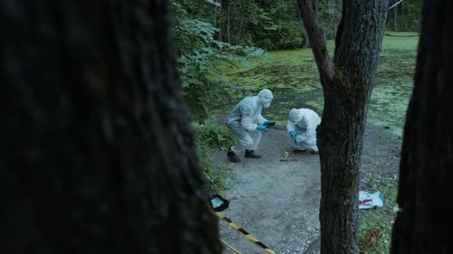 Criminalists Working with Proofs at Crime Scene Territory Closed with Signal Tape