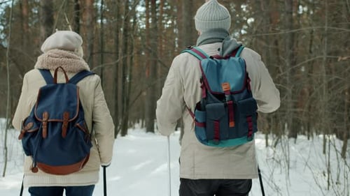 Back View of People Couple in Winter Park with Ski Poles Enjoying Nordic Walking Together