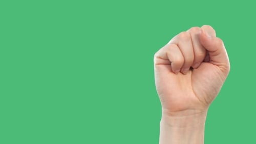 Raised Hand with Clenched Fist for Protest on Green Screen Background for Alpha Channel