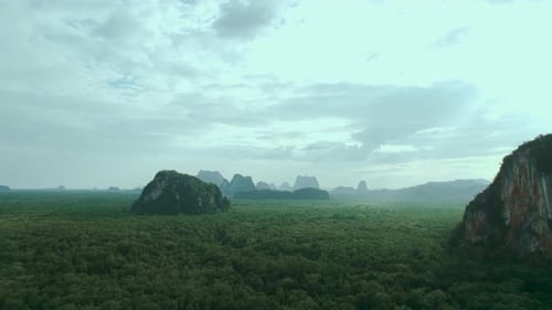 Düsterer Blick auf den tropischen Dschungelwald und die Berge