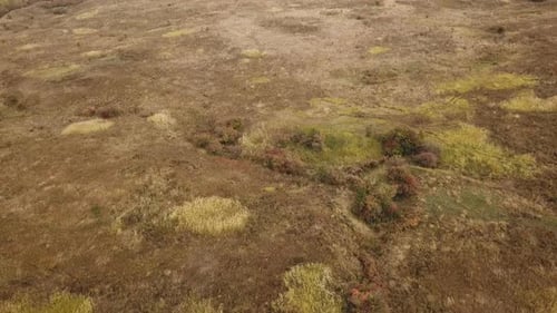 Landscape with a Bird's Eye View