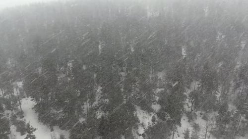Schneefall bei starkem windigem Wetter