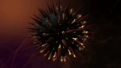Virus 4k