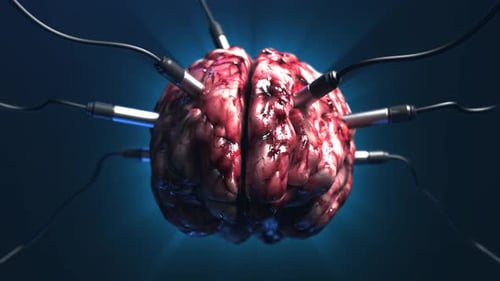 Artificial Intelligence. brain