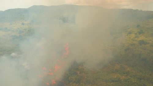 Aerial View of Tropical Wildfire Burning