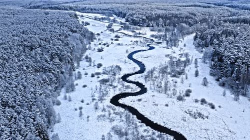Winter river and snowy forest. Aerial view of winter nature