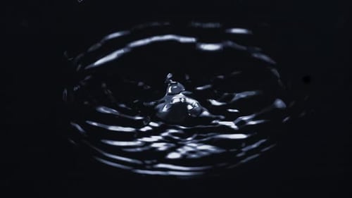 Water Drop Impact Creating Abstract Ripples