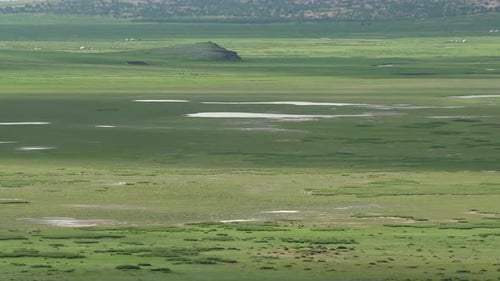 Lakes, Swamps and Wetlands in the Meadows of Mongolia