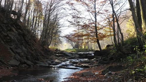 Río que fluye entre las rocas