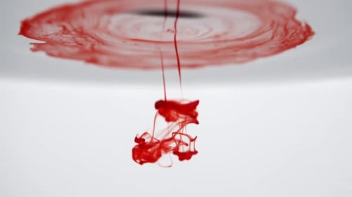 Blood Dropped in Water on White Background, Blood Drops Dissolves Under Water
