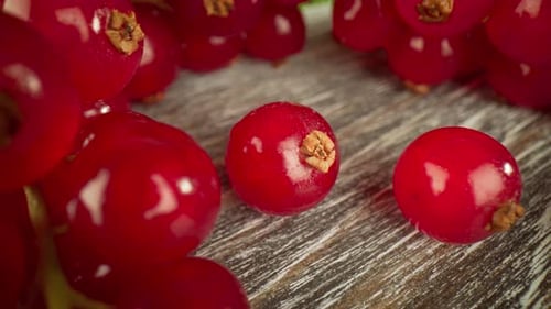 Vibrant Red Currant Berries on Wooden Surface