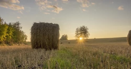 Flat Hill Meadow Timelapse at the Summer Sunset Time