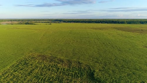 Aerial View of Green Grassy Fields in the Summer Day With Woods and Villages - Drone Footage