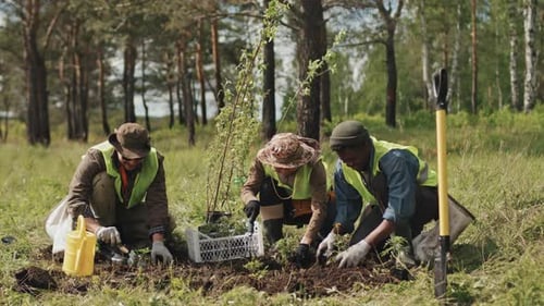 Gardeners Weeding