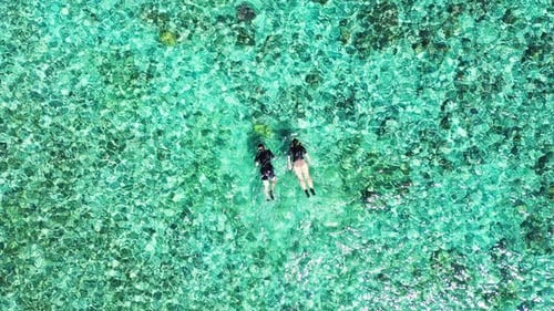 Luxury overhead clean view of a paradise sunny white sand beach and aqua blue ocean background