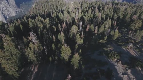 Aerial view of Yosemite National Park, California, USA