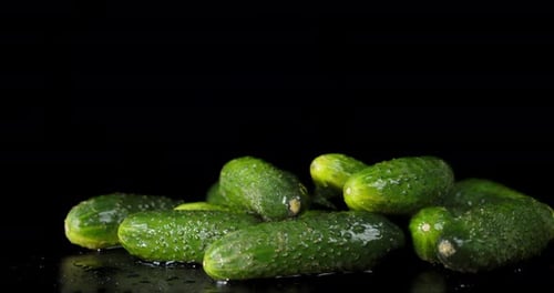 Fresh Green Cucumbers Rotate Slowly.
