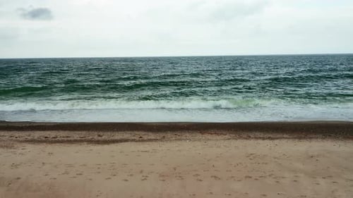 Flock Of Seagulls That Take Off From Sandy Beach By Seashore