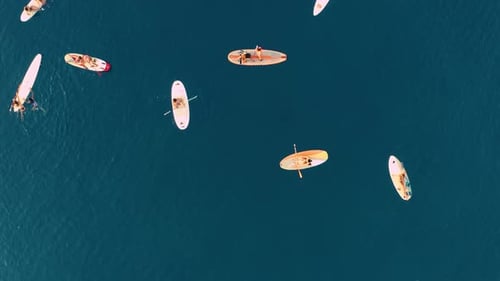 Aerial View of Paddleboarders on Turquoise Ocean