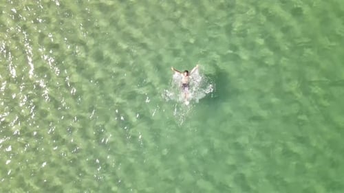 Swimming Sea Ocean Aerial View