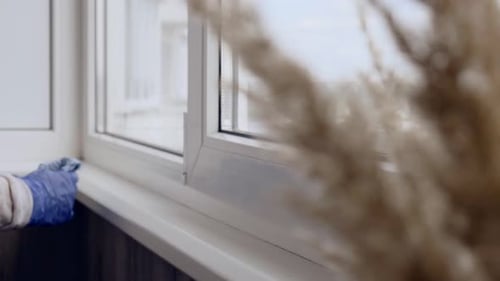 Cleaning the Windowsill