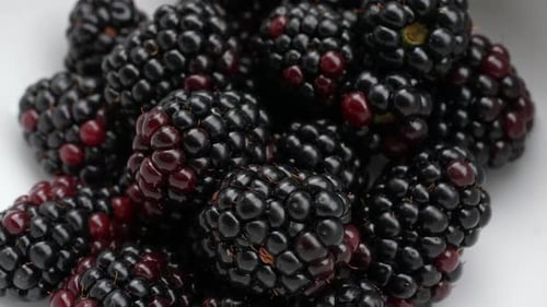 Close Up View of Fresh Ripe Blackberries