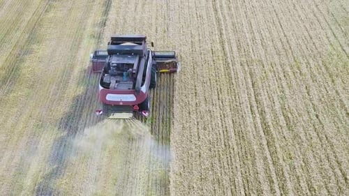 Aerial View on the Combines and Tractors Working on the Large Wheat Field