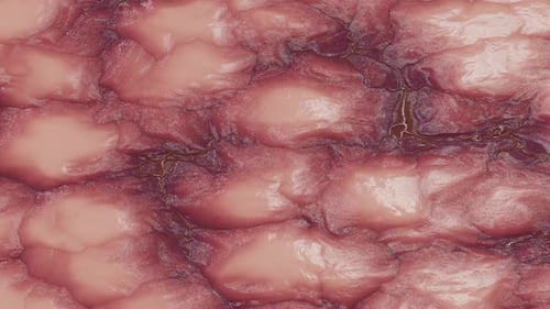 Vasos sanguíneos são visíveis