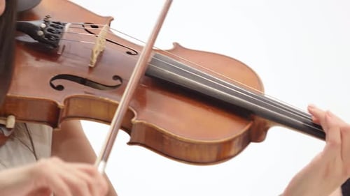 Asian Woman Is Playing the Violin on White Background Near To Colleague. Close Up of Bow and Strings