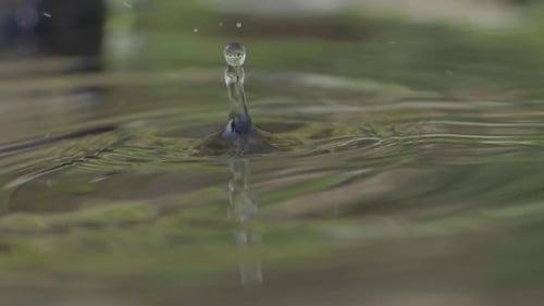 Water Droplet Creates Ripples in Pool