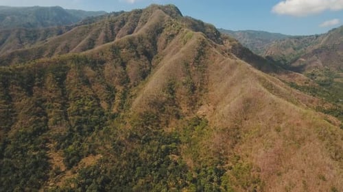 View Mountain Forest Landscape