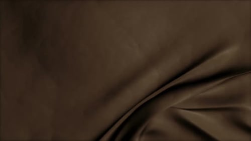 Brown Leather Bluescreen Transition