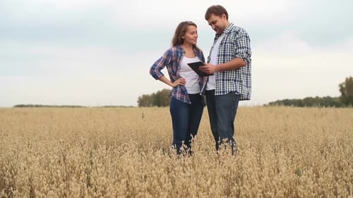 Farmers Using Tablet in Field of Oats