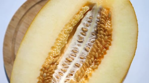 Scheibe Gelbe Melone. Nahaufnahme.