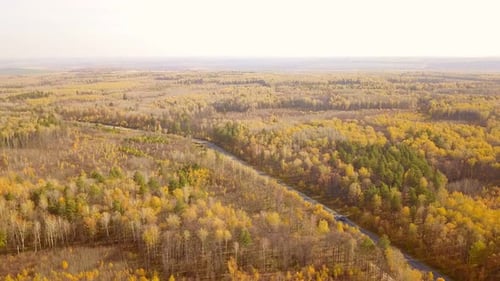 Nature Road