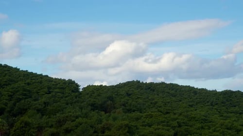Wald und Wolken Zeitraffer