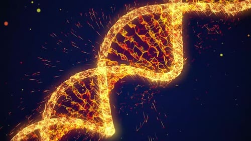 Animated Golden DNA Helix Abstract Plexus Connections Background