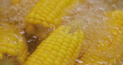 Bright Yellow Corn Boils Vigorously in Water