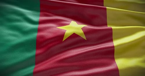 Cameroon Flag Waving Seamless Loop Animation