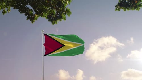 Guyana Flag With Modern City