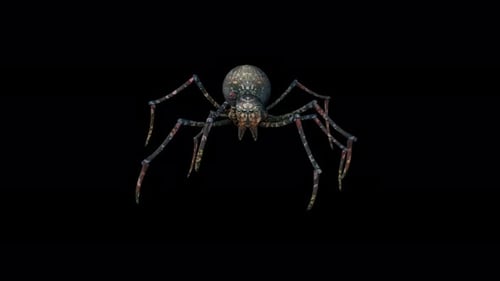 4K Spider Walk