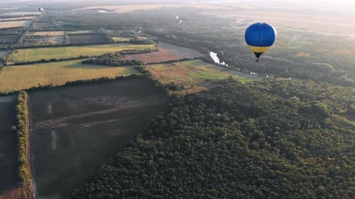 Beautiful balloons fly over the forest, park, city.