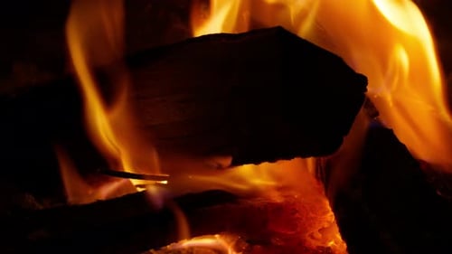 Bonfire Burning in the Forest in Evening Flaming Campfire Orange Red Fireplace