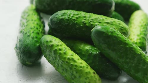 Green Cucumbers in